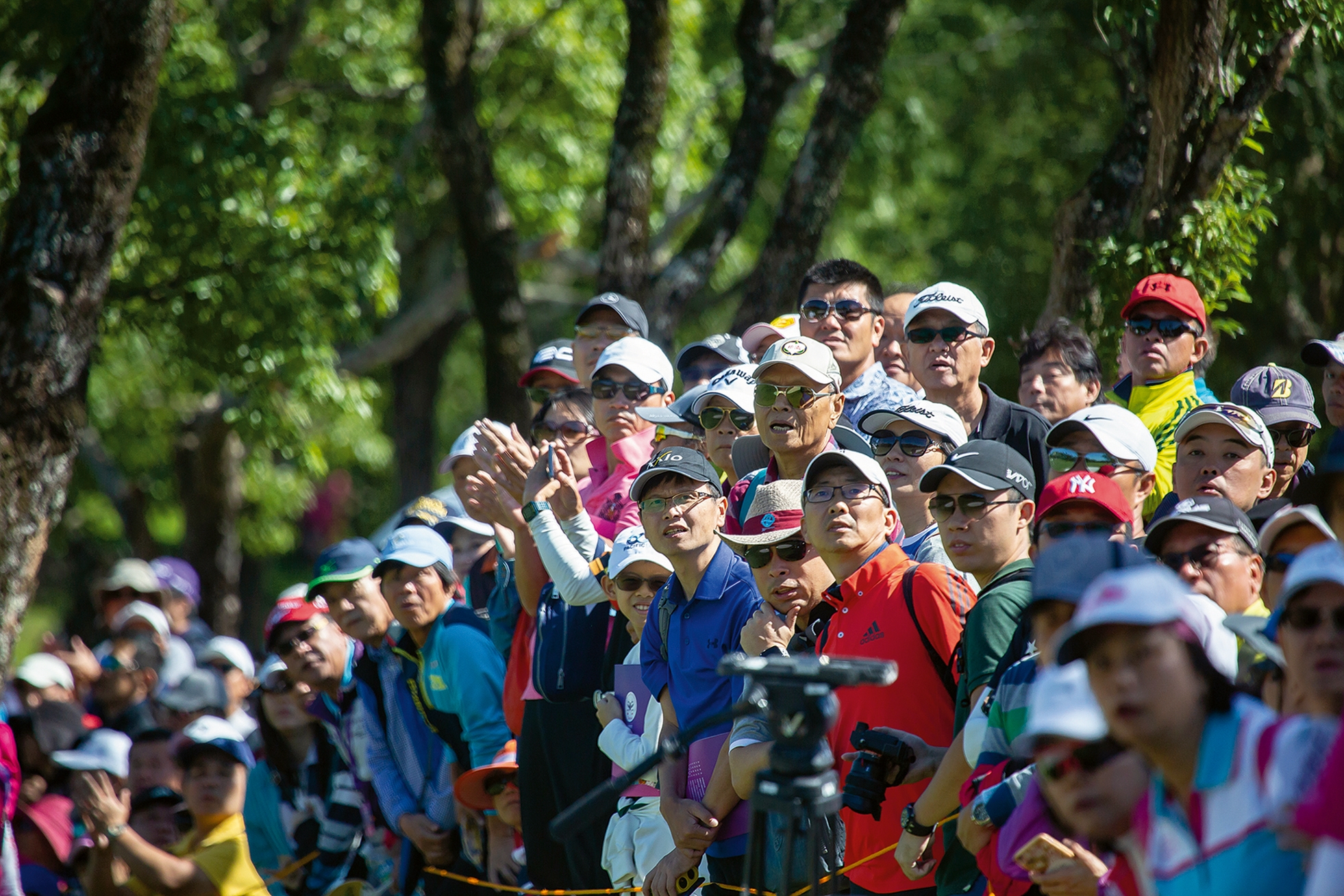 スウィンギング スカート lpga 台湾 販売 選手権 放送