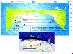 持続可能なマグロ漁を クロマグロの物語 台灣光華雜誌 Taiwan Panorama 國際化 雙語編排 文化整合 全球華人的雜誌