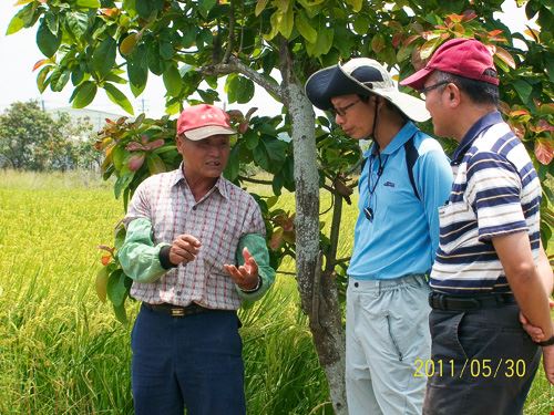 慈心基金會 為有機找活路 台灣光華雜誌