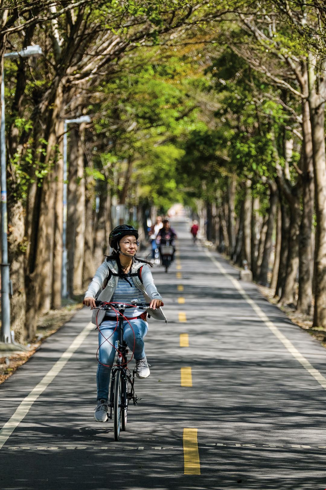 達人の案内で魅力を満喫 自転車で行く台中の旅 Taiwan Panorama